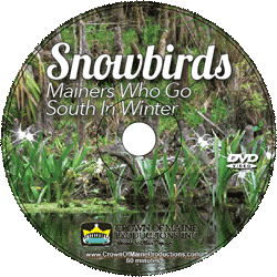 Snowbirds DVD